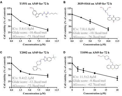 Identification of a Novel Protein Arginine Methyltransferase 5 Inhibitor in Non-small Cell Lung Cancer by <mark class="highlighted">Structure-Based Virtual Screening</mark>